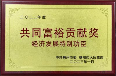2022年度共同富裕貢獻(xiàn)獎積極發(fā)展特別功臣