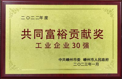 2022年度共同富裕貢獻(xiàn)獎工業(yè)企業(yè)30強(qiáng)